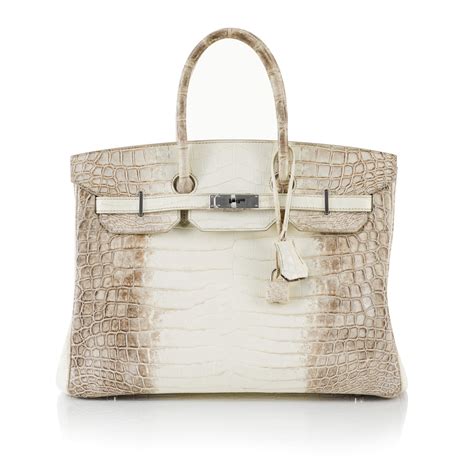 Hermes niloticus Birkin 35